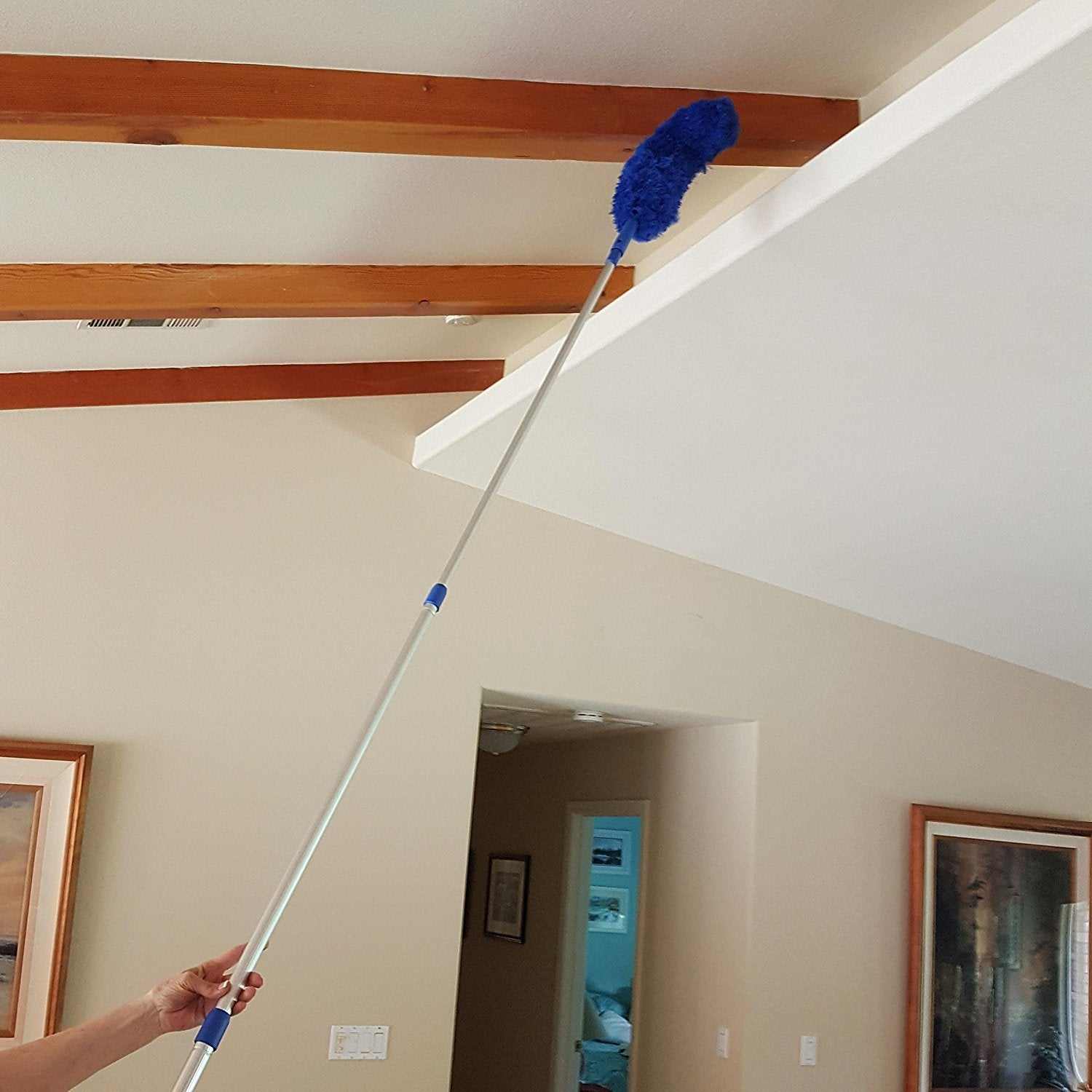 Extension Rod & Blue Extension Duster, Extend 18-20 feet