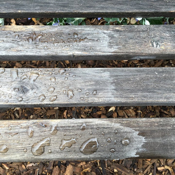 Restore Wood
