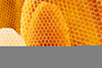 Beeswax Wood Polish