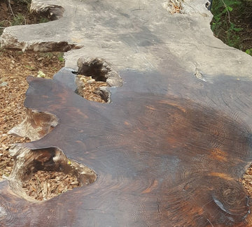 Clean and Protect Your Wood